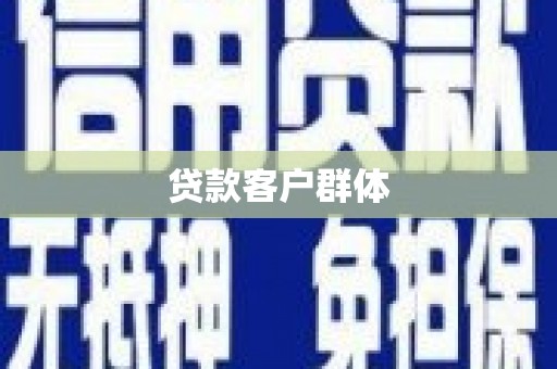 芦洲贷款客户群体