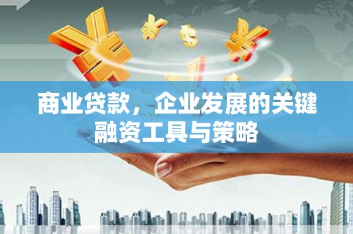 芦洲商业贷款，企业发展的关键融资工具与策略