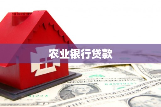 芦洲农业银行贷款