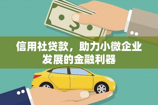 芦洲信用社贷款，助力小微企业发展的金融利器