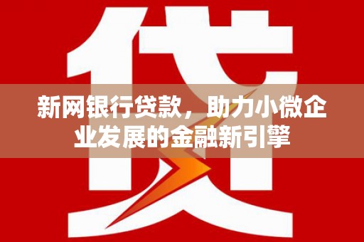 芦洲新网银行贷款，助力小微企业发展的金融新引擎