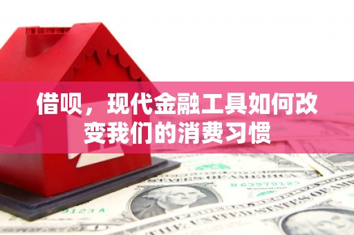 芦洲借呗，现代金融工具如何改变我们的消费习惯