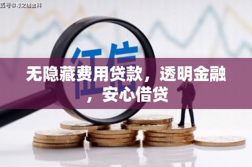 芦洲无隐藏费用贷款，透明金融，安心借贷