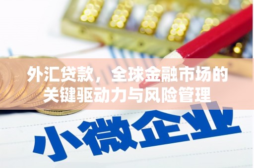 芦洲外汇贷款，全球金融市场的关键驱动力与风险管理