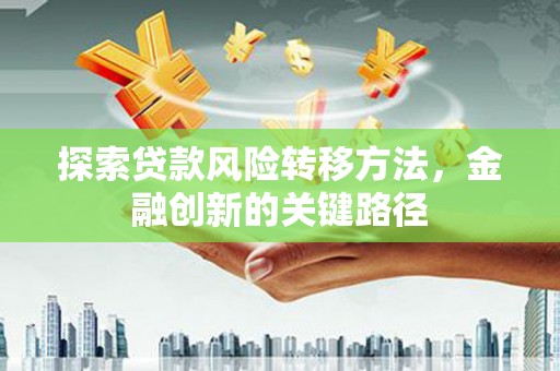 芦洲探索贷款风险转移方法，金融创新的关键路径