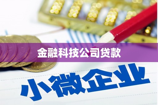 芦洲金融科技公司贷款