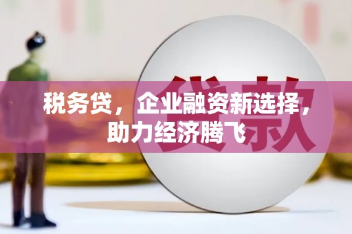 芦洲税务贷，企业融资新选择，助力经济腾飞