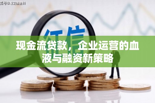 芦洲现金流贷款，企业运营的血液与融资新策略