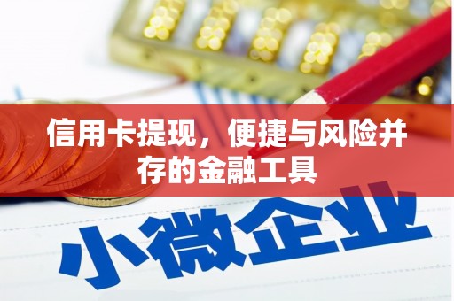 芦洲信用卡提现，便捷与风险并存的金融工具