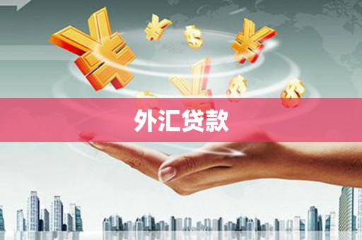 芦洲外汇贷款