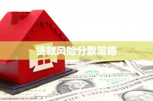 芦洲贷款风险分散策略
