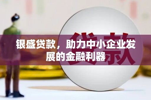 芦洲银盛贷款，助力中小企业发展的金融利器
