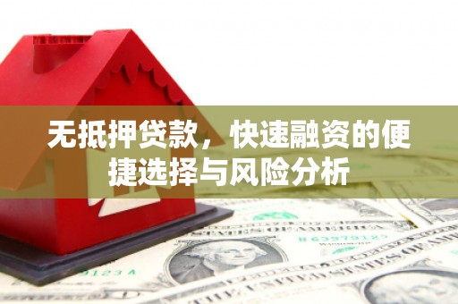 芦洲无抵押贷款，快速融资的便捷选择与风险分析