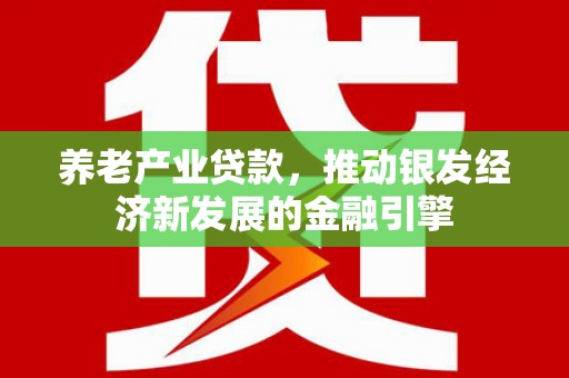 芦洲养老产业贷款，推动银发经济新发展的金融引擎