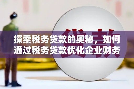芦洲探索税务贷款的奥秘，如何通过税务贷款优化企业财务