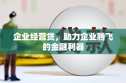芦洲企业经营贷，助力企业腾飞的金融利器