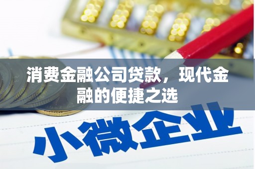 芦洲消费金融公司贷款，现代金融的便捷之选