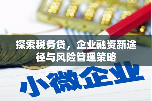 芦洲探索税务贷，企业融资新途径与风险管理策略
