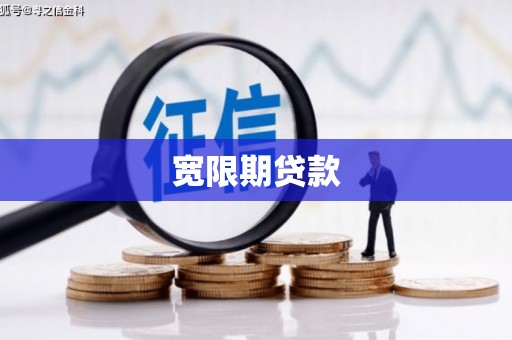 芦洲宽限期贷款