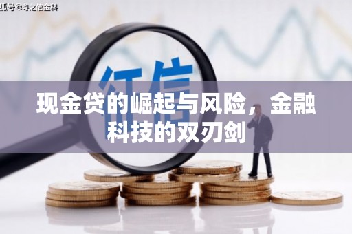 芦洲现金贷的崛起与风险，金融科技的双刃剑