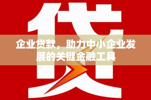 芦洲企业贷款，助力中小企业发展的关键金融工具