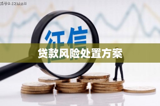 芦洲贷款风险处置方案