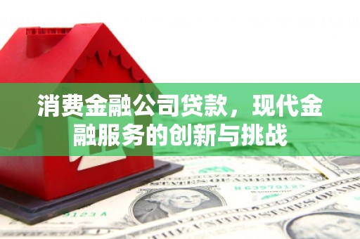 芦洲消费金融公司贷款，现代金融服务的创新与挑战