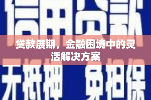 芦洲贷款展期，金融困境中的灵活解决方案