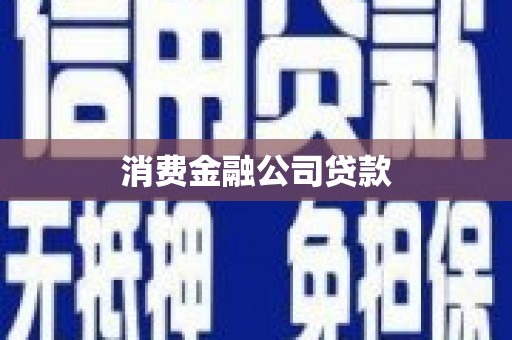 芦洲消费金融公司贷款