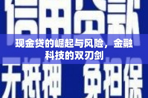 芦洲现金贷的崛起与风险，金融科技的双刃剑