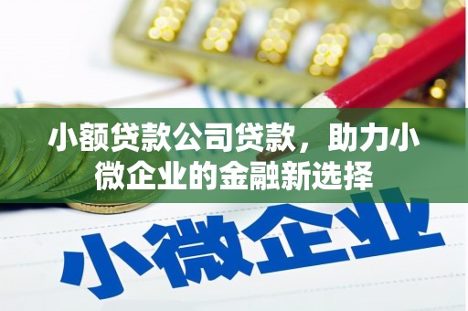 芦洲小额贷款公司贷款，助力小微企业的金融新选择