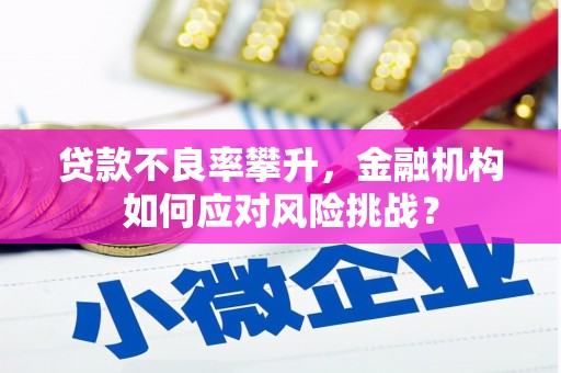 芦洲贷款不良率攀升，金融机构如何应对风险挑战？