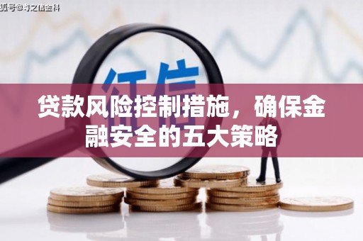 芦洲贷款风险控制措施，确保金融安全的五大策略