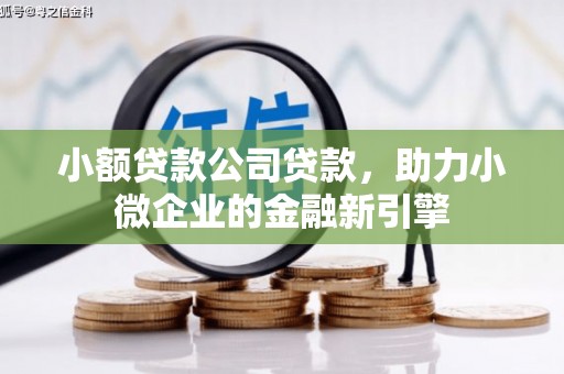 芦洲小额贷款公司贷款，助力小微企业的金融新引擎