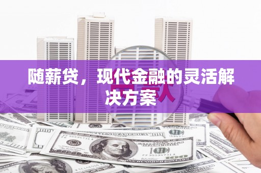 芦洲随薪贷，现代金融的灵活解决方案