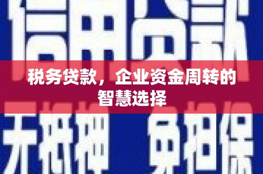芦洲税务贷款，企业资金周转的智慧选择