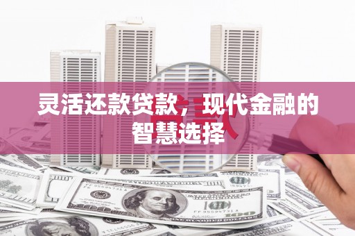 芦洲灵活还款贷款，现代金融的智慧选择