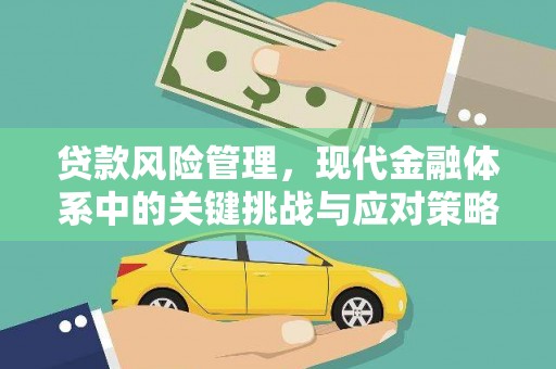 芦洲贷款风险管理，现代金融体系中的关键挑战与应对策略