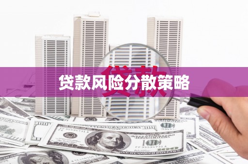 芦洲贷款风险分散策略