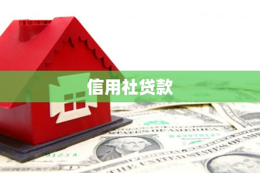 芦洲信用社贷款