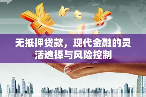 芦洲无抵押贷款，现代金融的灵活选择与风险控制