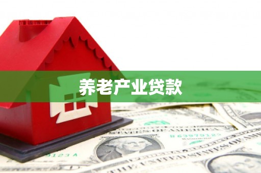 芦洲养老产业贷款