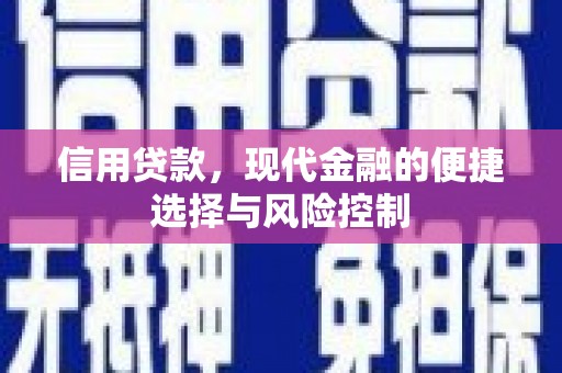 芦洲信用贷款，现代金融的便捷选择与风险控制