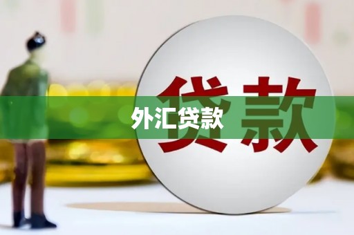 芦洲外汇贷款