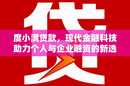 芦洲度小满贷款，现代金融科技助力个人与企业融资的新选择