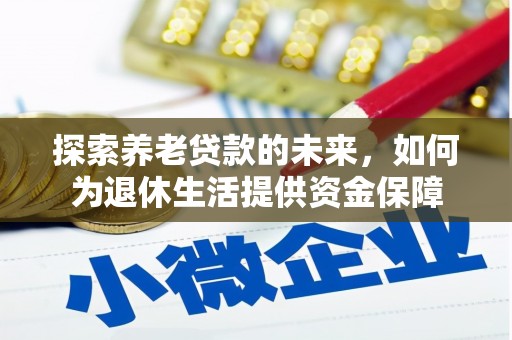 芦洲探索养老贷款的未来，如何为退休生活提供资金保障