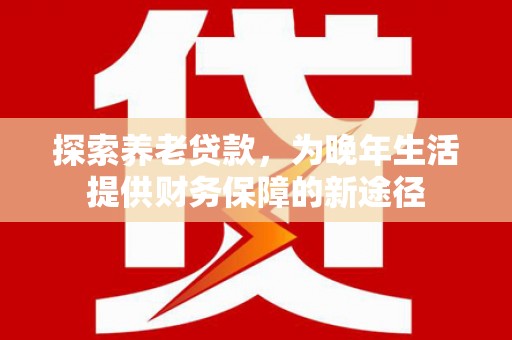 芦洲探索养老贷款，为晚年生活提供财务保障的新途径