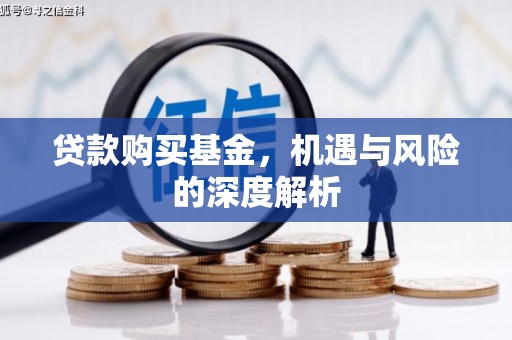 芦洲贷款购买基金，机遇与风险的深度解析