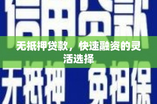 芦洲无抵押贷款，快速融资的灵活选择