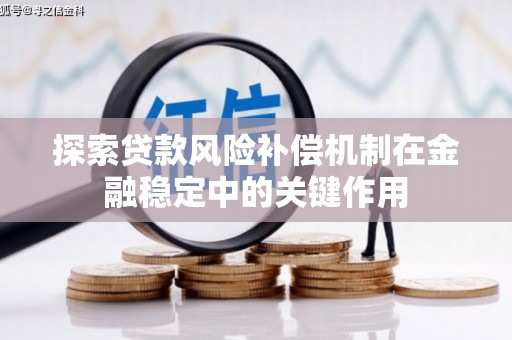芦洲探索贷款风险补偿机制在金融稳定中的关键作用